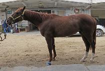 �Ź̼� (GEOMISON) ����