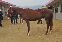 ����Ƽ�� (MIGHTY NEW) ����