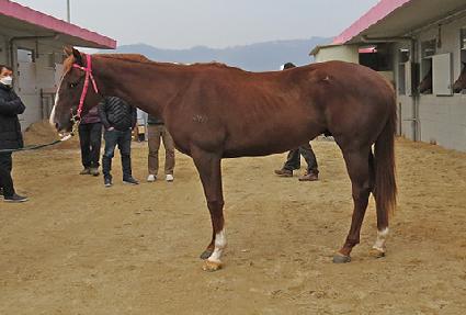 ����Ƽ�� ����