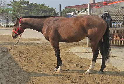 â����ȣ ����