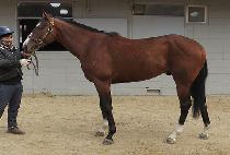 �ο��Լ� (ROYAL HAMSEONG) ����