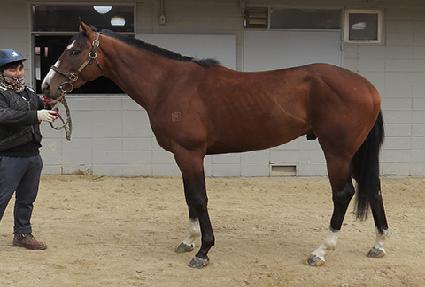 �ο��Լ� ����