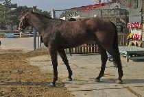 â����Ʈ (CHANGSEONG HIT) ����