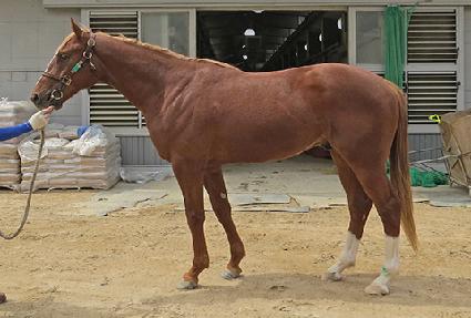 �������� ����