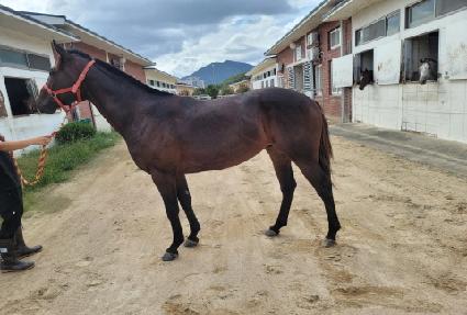 ��´������� ����