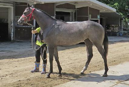 �����м� ����