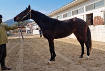 FIGHT FAMILY picture