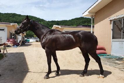 ����Ʈ���丮 ����