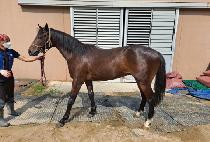 �δ��۽�Ʈ (DO THE FIRST) ����