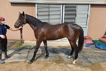 �δ��۽�Ʈ ����