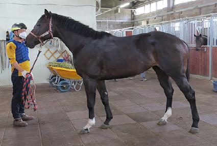 ��ī������ ����