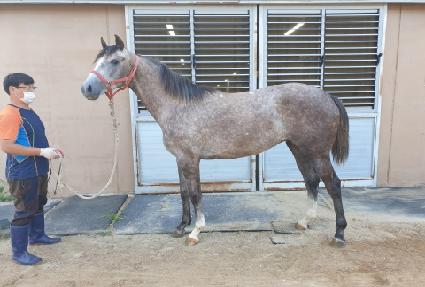 ������Ÿ�� ����