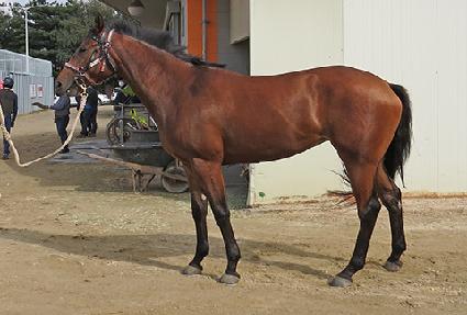 �ູ���� ����