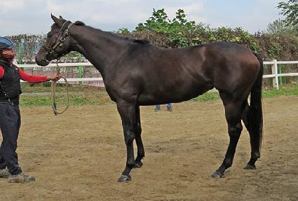 ���ȯ�� ����