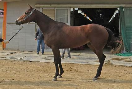 �������� ����