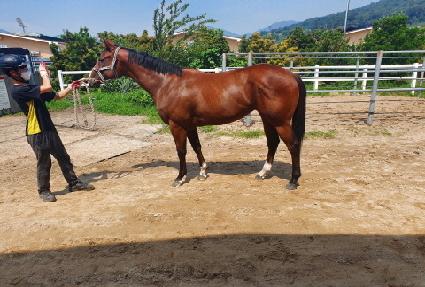 �ϴù̼� ����