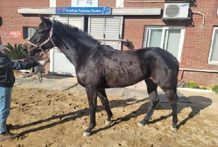 ��¿��� ����