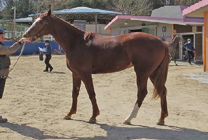 �ߺ��� ����