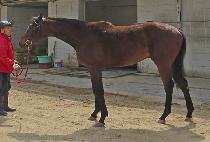 ���й� (MUNHAK MOON) ����