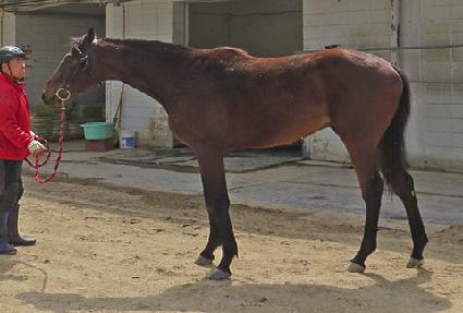 ���й� ����