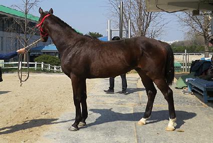 ���о��ڸ� ����