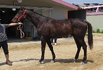 ���м� (MUNHAK SUN) ����