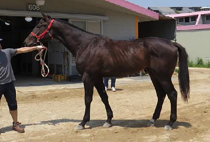 ���м� ����