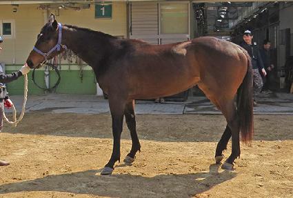 ��������Ÿ ����