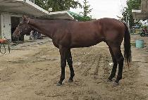 ���Ŭ���� (ANOTHER CLASS) ����