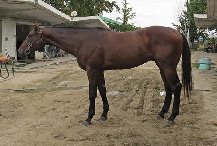 ���Ŭ���� ����