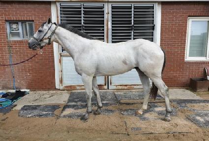 ���̽�ų�� ����