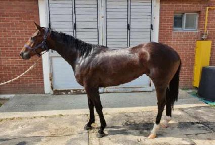 �÷�Ǯ���� ����