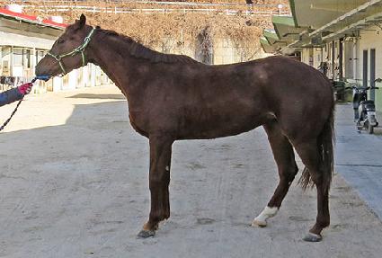 ��������� ����