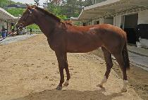 �������ǵ� (JEONGMUN SPEED) ����