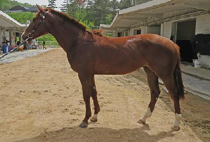 �������ǵ� ����