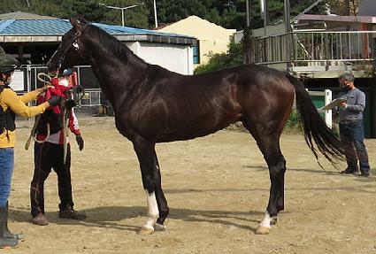 ������ġ ����