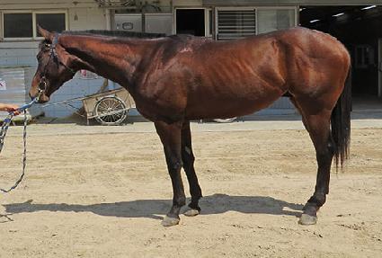 ���й����� ����