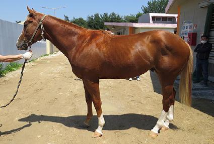 ����Ÿ ����