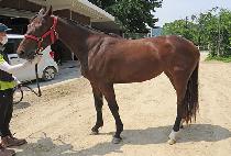 ��Ű�ε� (LUCKY INDY) ����