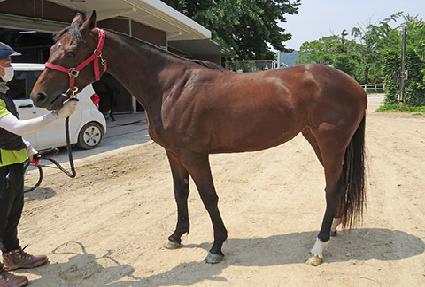 ��Ű�ε� ����