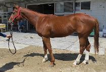 �������� (DOUBLE EDGE) ����