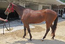 �������̰� (THAT��S MY GIRL) ����