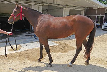 �������̰� ����