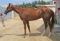 THE NEW SCHOOL picture