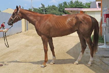 �������� ����