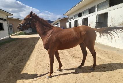 ���Ÿ��� ����