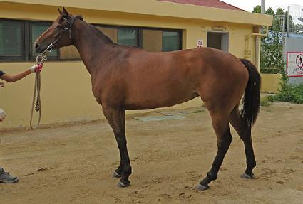 �̸��Ŀ� ����