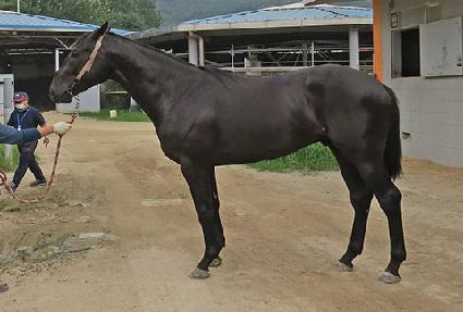 Ŭ�����Ŀ� ����