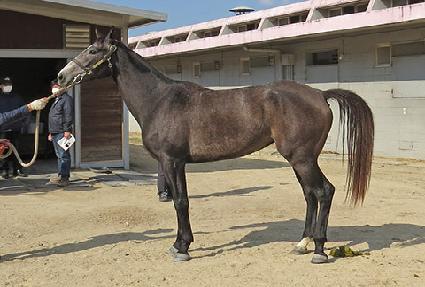 ��Ƽ�� ����