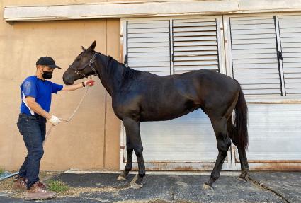 ����Ƽ�� ����